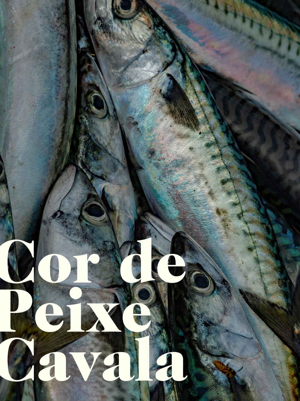 Cor de Peixe Cavala